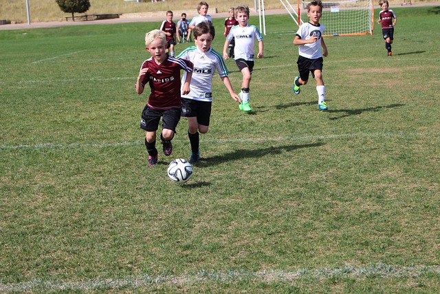 忽视的对手 忽视的对手