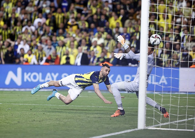 当地生态造 当地生态造