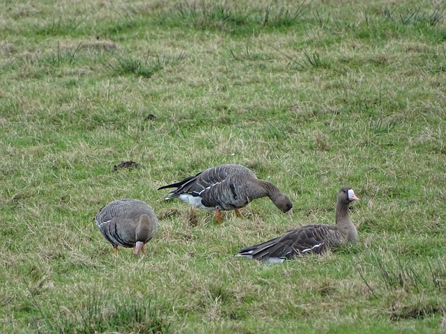 道具的辅助 道具的辅助