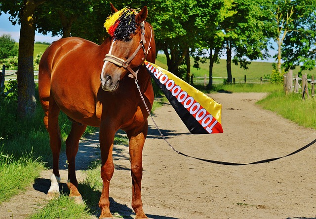 也将继续成 也将继续成